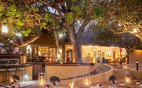 Shimungwe Lodge, Thornybush Game Reserve
